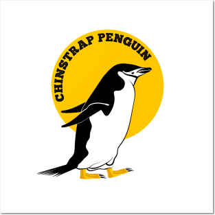 Chinstrap penguin Posters and Art